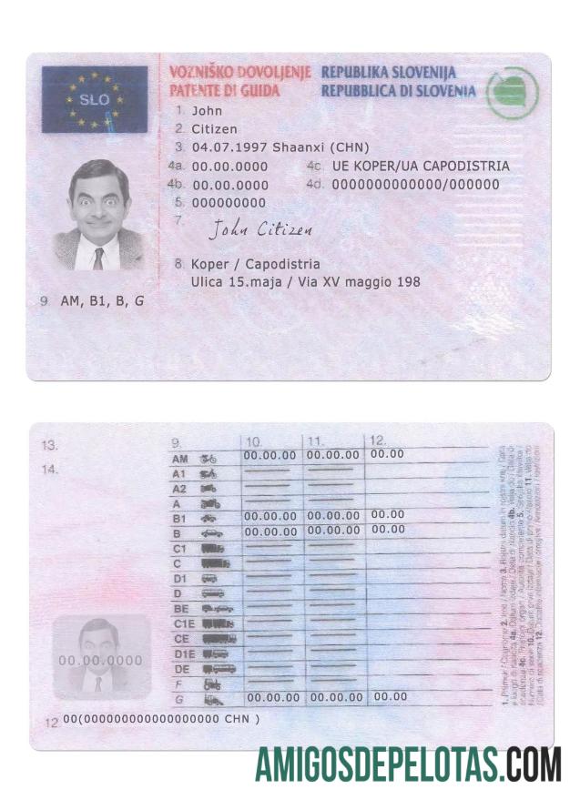 Carta de condução da Eslovénia exemplo real